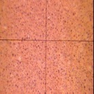 Bild 13:28. Exempel på låg grad av nedbrytning. Skikt typiskt (170-190) µm. Ytan känns mjuk.