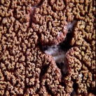Bild 13:30. Kraftigt åldrad Plastisol. Skikt < 140 µm. Ytan är hård och porös. Ska inte övermålas.